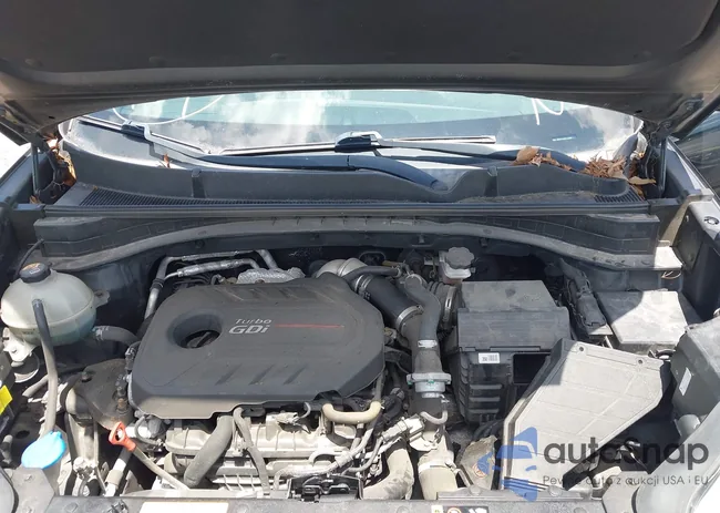 KNDPRCA6XH7238997: 42807031