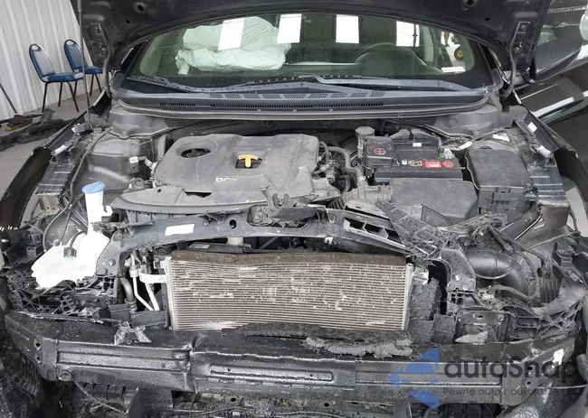 3KPFK4A76HE135316: 42806684