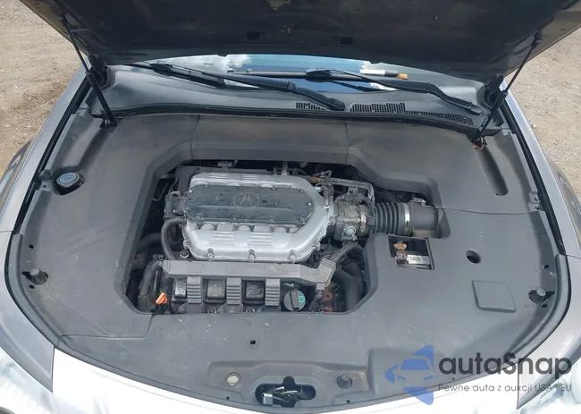 19UUA96519A000698: 42806964