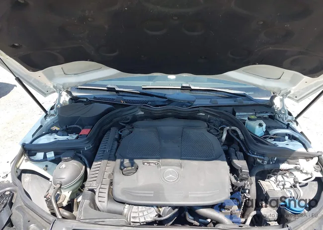 WDDGF8AB5DA884406: 42810348