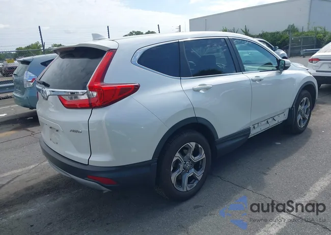 5J6RW2H57JL024159: 42810468