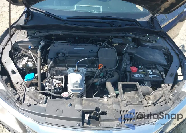 1HGCR2F59HA012902: 42810509