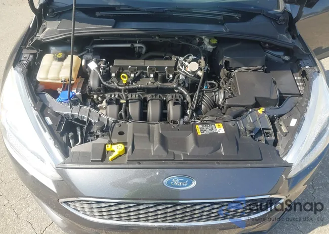 1FADP3F25GL381396: 42811072