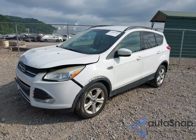 1FMCU9GX5FUB15392: 42811091