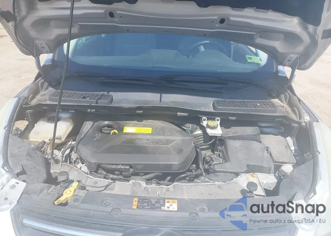 1FMCU9GX0FUC31521: 42811211