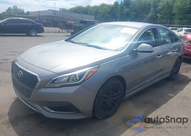 KMHE24L34HA062239: 42810621