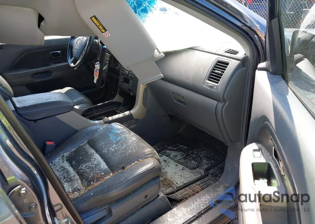 5FNYF18536B012838: 42810638