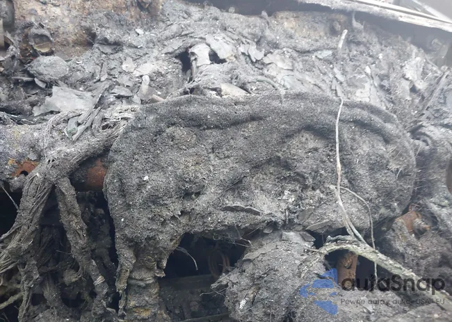 5TDKK3DCXCS256821: 42810643