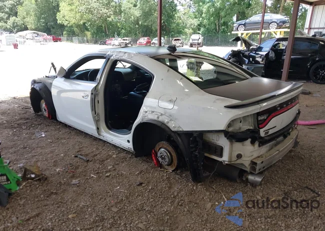 2C3CDXGJXLH161176: 42810671