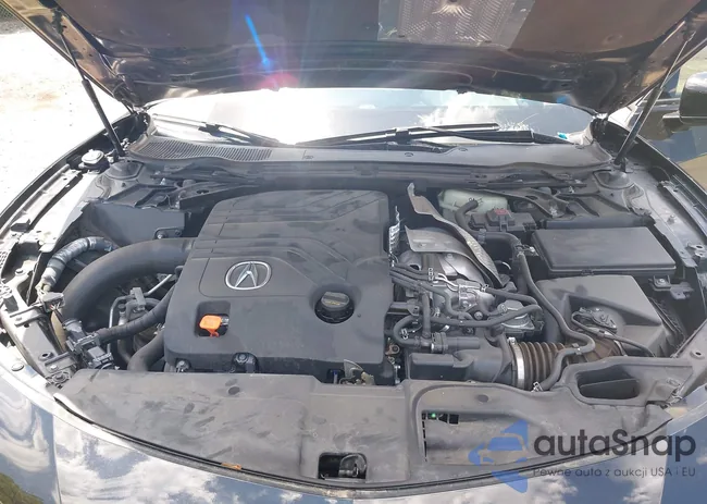 19UUB7F96PA003520: 42810836