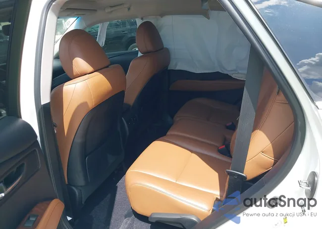 JTJBC1BA9D2063648: 42810877