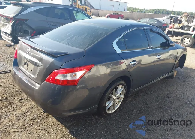 1N4AA5AP7AC865161: 42812116