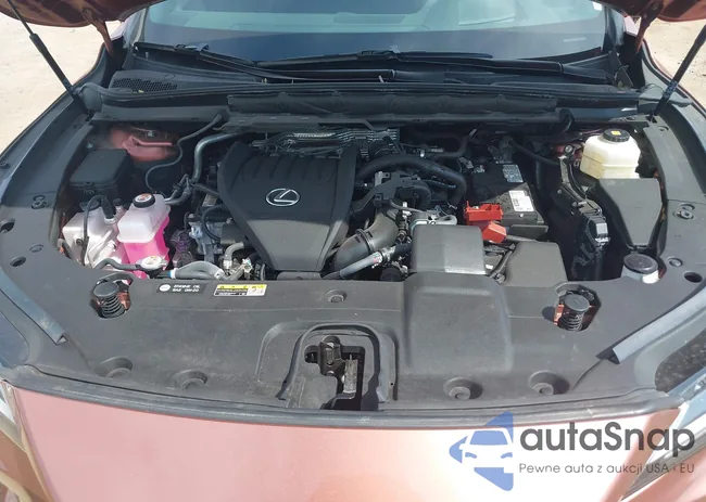 2T2BAMBAXPC010176: 42812162