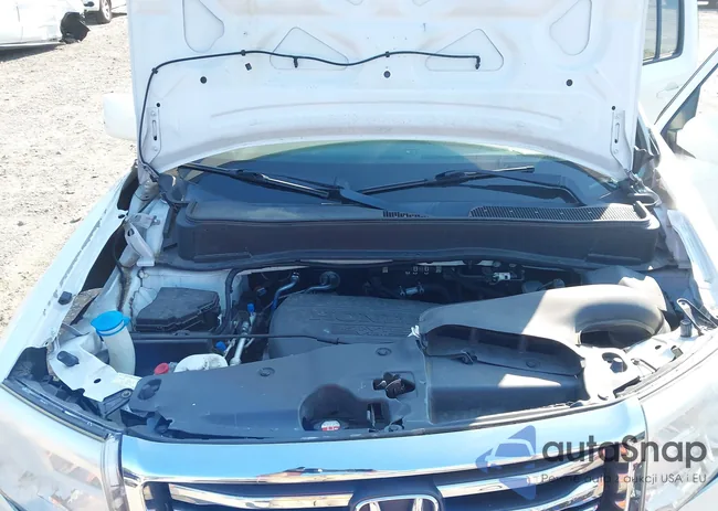 5FNYF4H98DB021634: 42812928