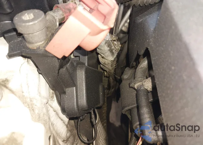 WBAXG5C55DDY33125: 42813035