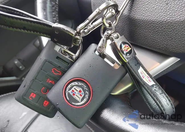 1G6DP1E36C0120852: 42813338