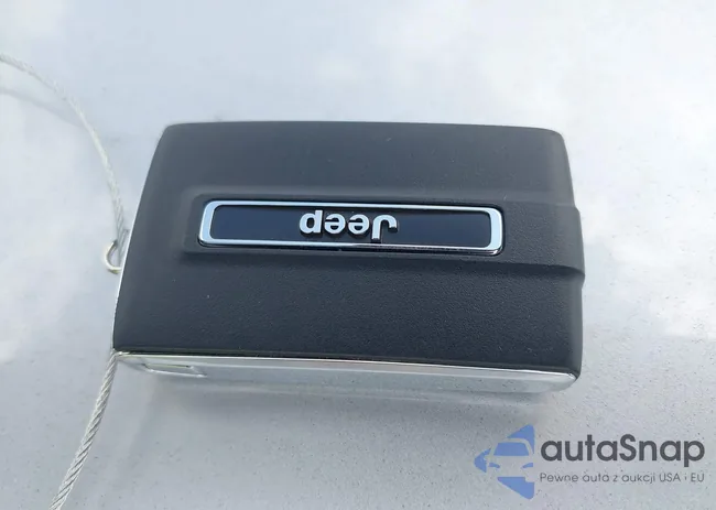 1C4RJHAG9R8930153: 42812908