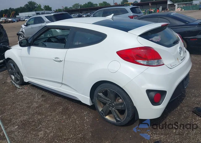 KMHTC6AEXFU239344: 42814213