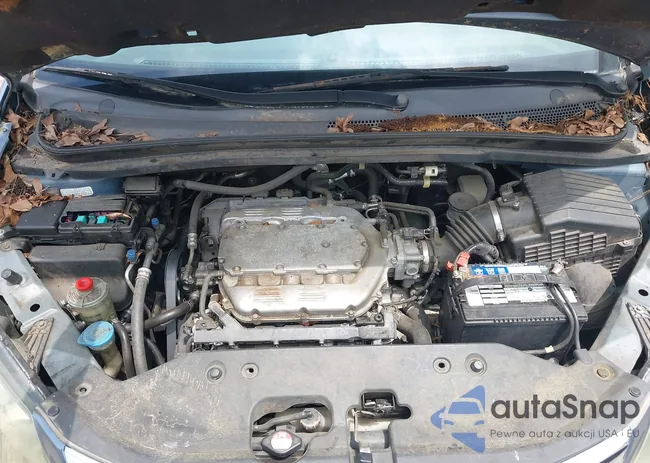 5FNRL38868B078113: 42813688