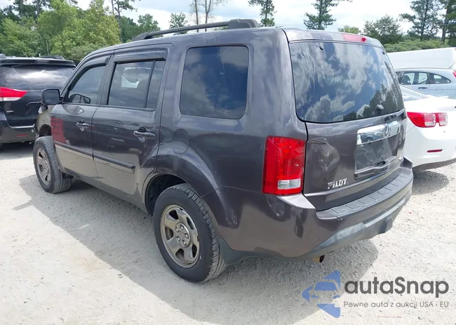 5FNYF4H29DB029017: 42813903