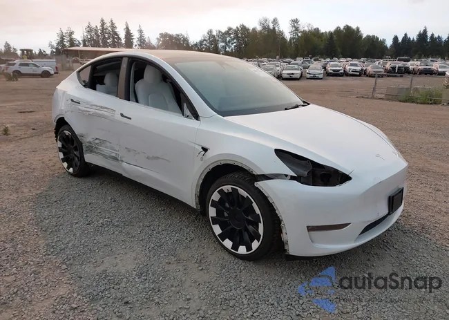 7SAYGDEE0NF511262: 42817155