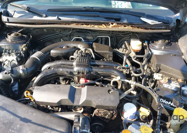 JF2GPACC4E8279047: 42816636