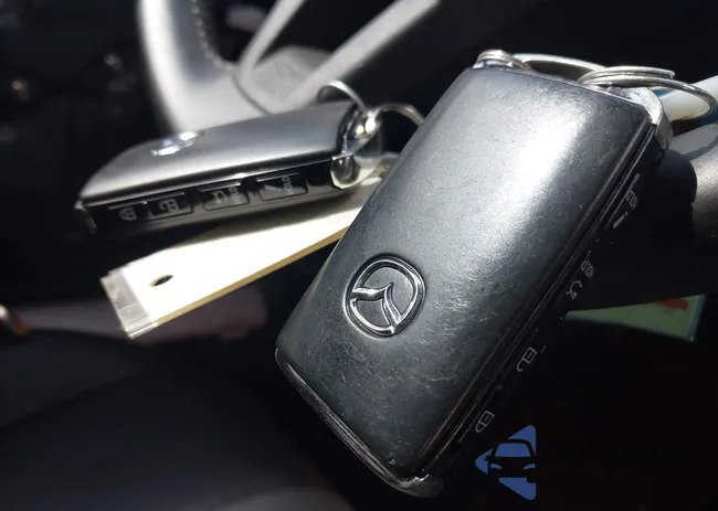 JM1NDAM77M0456347: 42816792