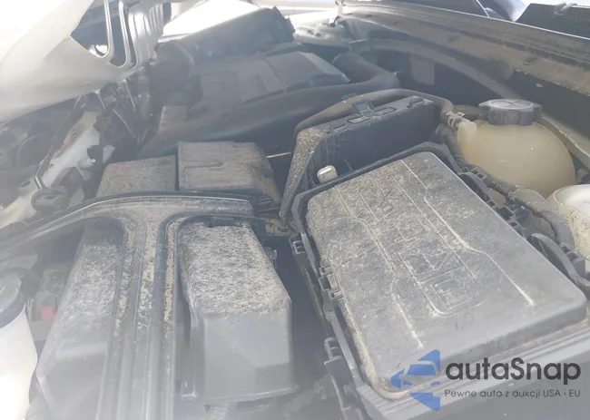 1G1ZD5ST8NF201450: 42818481