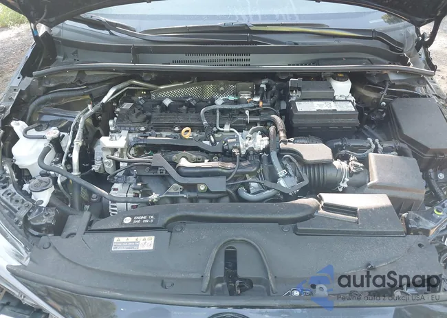 5YFP4MCE9SP220361: 42817747