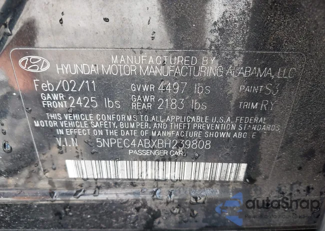 5NPEC4ABXBH239808: 42817769