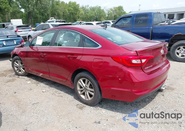 5NPE24AF1GH281796: 42817813