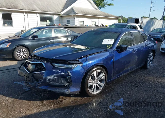 19UUB5F60MA010663: 42819386