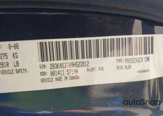 2B3KA53T09H523912: 42819958