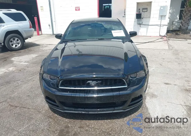 1ZVBP8AM1E5210862: 42820097