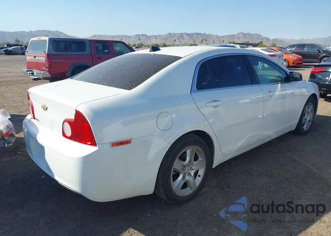 1G1ZB5E09CF192648: 42820117