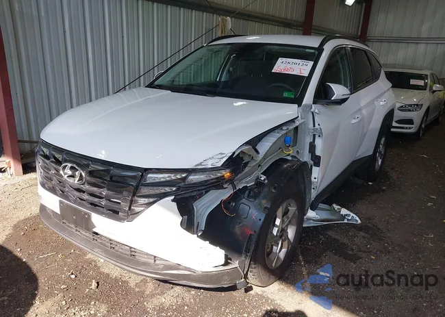 5NMJBCAE8PH197746: 42820129