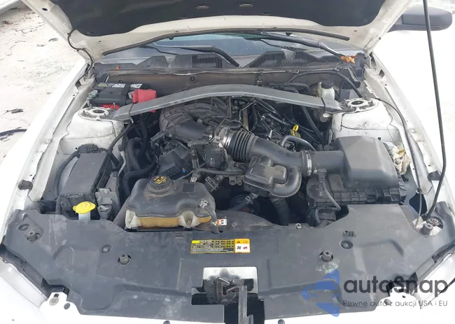 1ZVBP8EM7B5129077: 42820249