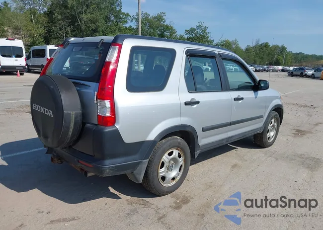 SHSRD78516U436069: 42820429