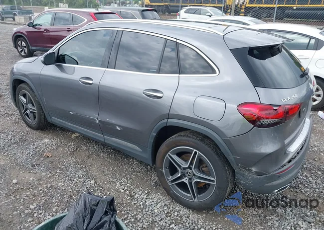 W1N4N4HB8MJ205901: 42820486