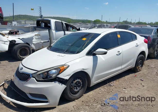 KNAFK4A61G5446635: 42819545