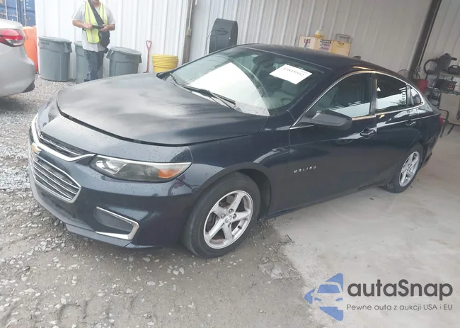 1G1ZB5ST1HF121546: 42819552