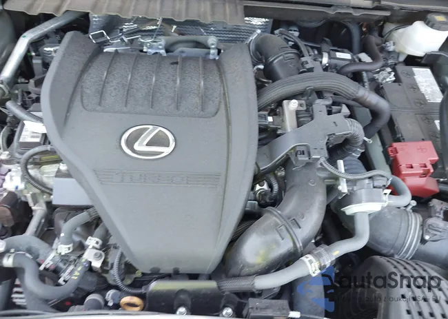 2T2HGCEZ1PC027484: 42819686