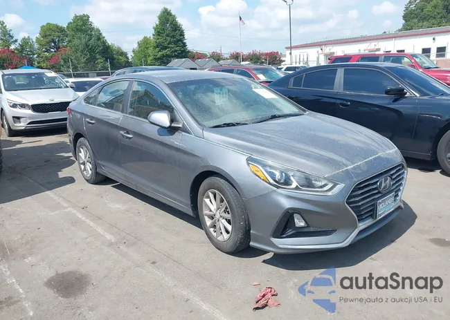 5NPE24AF0KH785491: 42821758