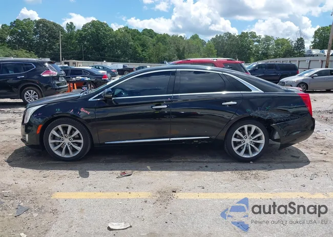 2G61M5S34H9162408: 42823334