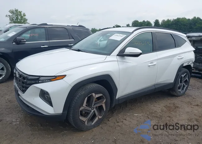 5NMJCCAE2NH151453: 42822542