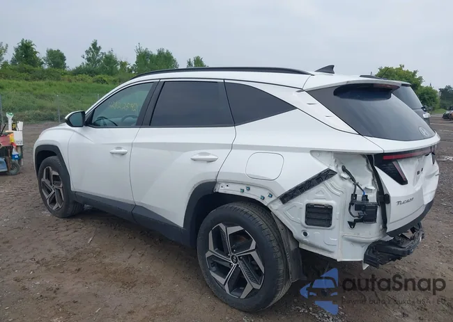 5NMJCCAE2NH151453: 42822542