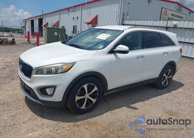 5XYPH4A13GG014257: 42822784