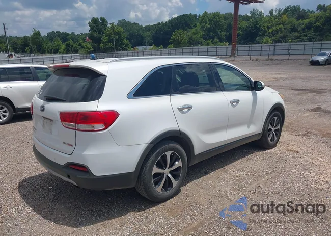 5XYPH4A13GG014257: 42822784