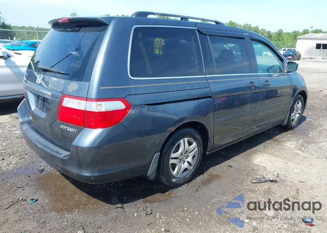 5FNRL386X5B031063: 42822831