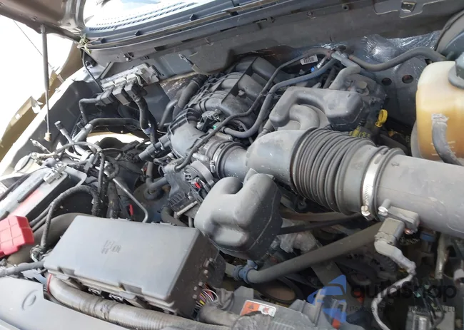 1FTEX1CMXBFC29890: 42823988